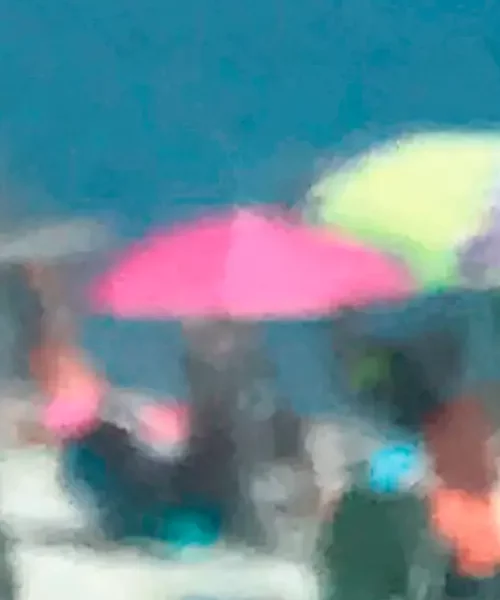 Le flamant rose - Photographie de Sophie Moisan