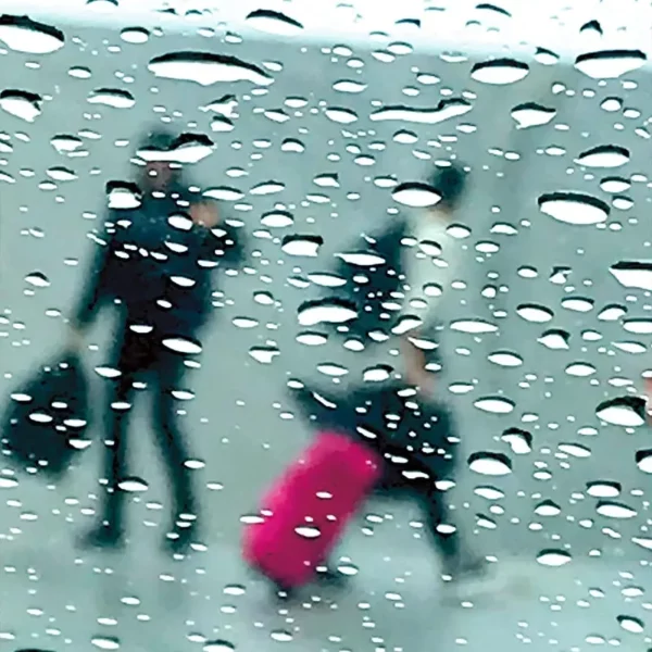 "La valise rose" - Sophie Moisan
