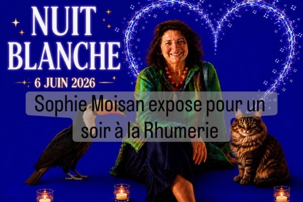 Nuit Blanche 2026 Sophie Moisan